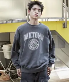 WEGO ピグメントグラフィックプルオーバー