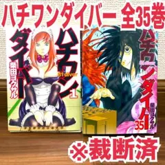 初版・帯付・透明カバー付】ハチワンダイバー 全35巻＋ザンガード 柴田