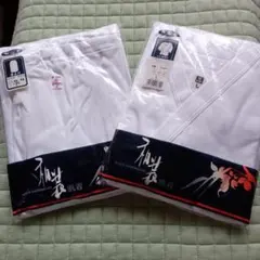 Item thumbnail for item c0eb16a2-83af-41c9-aa64-26fe905dea0a