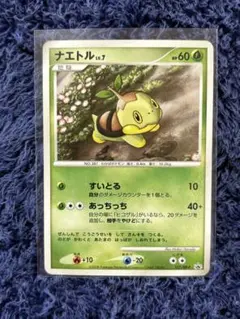 2026年最新】ナエトル プロモの人気アイテム - メルカリ