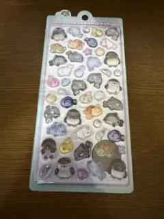 名古屋港水族館限定 ボンボンドロップ シール