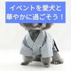 【内緒割】【XL /青と白の模様/ストライプ/濃い青】犬の服 浴衣 和服