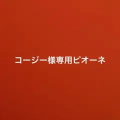 コージー様専用ピオーネ