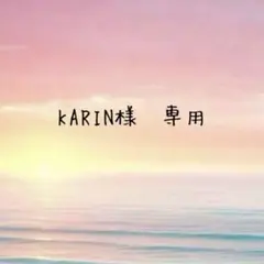 Item thumbnail for item 8dc1085a-1e1d-4e72-8163-844aaf9344f6