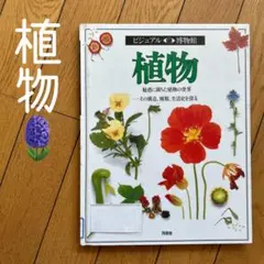 ◾️ビジュアル博物館◾️植物◾️つくりや種類や生活史を探る◾️植物図鑑◾️迫力がある写真◾️