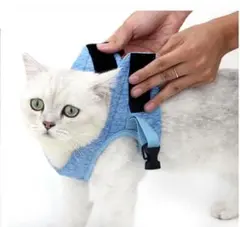 Item thumbnail for item f6e2e749-0fe8-4252-8e75-9c5cedf668ce