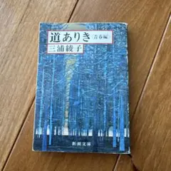 Item thumbnail for item e60d1a60-a45c-4e6a-af20-21323b9cb01e