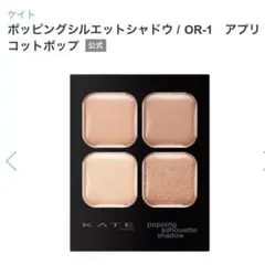 【売約済み】KATE ポッピングシルエットシャドウ