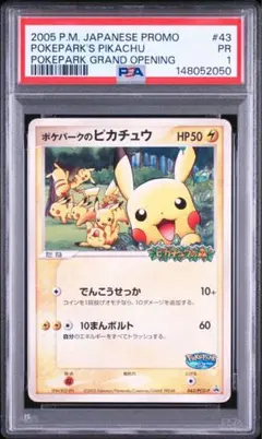 2026年最新】ポケパークのピカチュウの人気アイテム - メルカリ