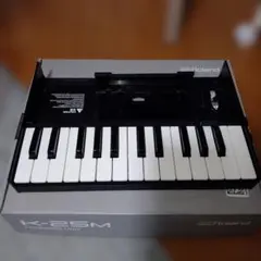 2026年最新】Roland K-25mの人気アイテム - メルカリ