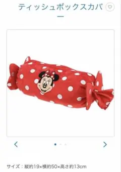 ディズニーリゾート限定　ミニー　チョコクッキーデザイン　ティッシュケース