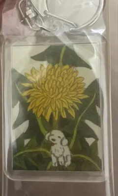 Item thumbnail for item 883cdaca-0ecd-4648-a234-b5708fb103c3