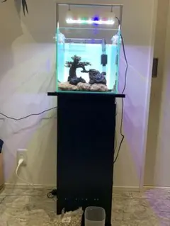 2025年最新】水槽 キャビネット 30の人気アイテム - メルカリ