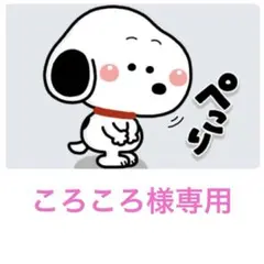 専用