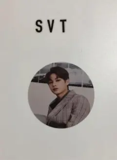 SEVENTEEN シール　ジュン