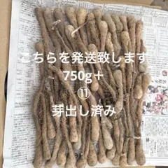아오모리현산 감자씨가 들어간 감자씨 750g+