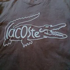 ☆美品☆LACOSTE 刺繍 Tシャツ ラコステのサムネイル