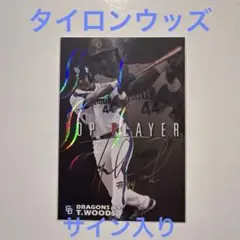 Item thumbnail for item 9c7b004e-f723-4fc3-9111-f2572d01e2fc