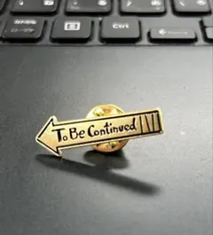 To Be Continued ジョジョ ピンバッジ JOJO スティールボール