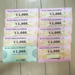 ビックカメラ コジマ 株主優待券 10000円分