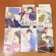 BLコミックス　商業本　セット