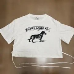 ホワイト Tシャツ Fサイズ