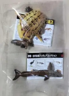 UHA味覚糖 チョコラザウルス