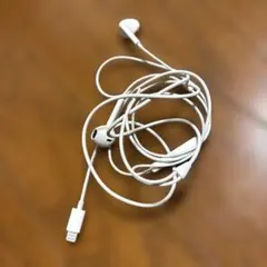 《即日・匿名配送》Apple 純正 Lightningケーブル イヤホン