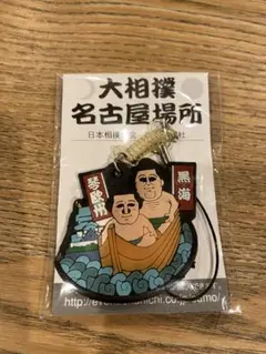 Item thumbnail for item 4c478069-790c-46ca-b160-dba8930accb9