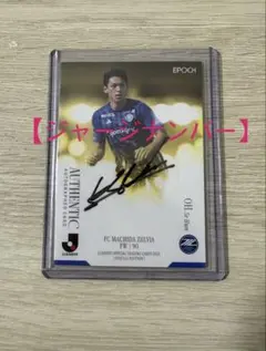 Item thumbnail for item b738ffd6-9bbb-4527-aeb1-5042b7a76fe1