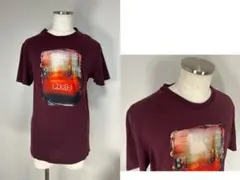美品　約9.2万円　ベルルッティ フォトプリント コットン Tシャツ