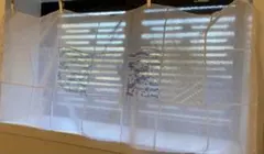 Item thumbnail for item 42d0355c-f81d-46c9-95a7-38c048212b48