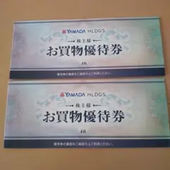 YAMADA HLDGS. お買物優待券 4枚セット２冊