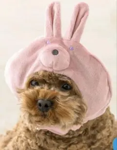 ウサギ耳付き犬用帽子 ピンク