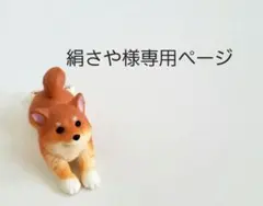 絹さや様専用ページです