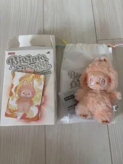 2025年最新】PopMart labubu シークレットの人気アイテム - メルカリ