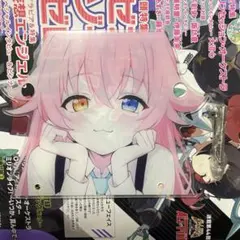 2026年最新】ブルーアーカイブ アクリルスタンド ホシノの人気アイテム