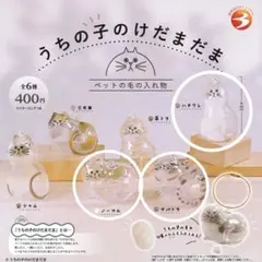 うちの子のけだまだま　ハチワレ　サバトラ　ノーマル　3個セット