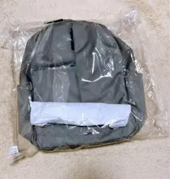 【新品】【未使用】グローバルワーク撥水軽量サコッシュ付きリュック　グレー