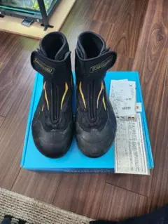 Item thumbnail for item 0b5b9750-de99-4923-99a9-474ac87eb166