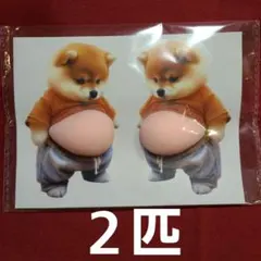 柴犬　おなかぷくぷくシール 3Dシール お腹ぷにぷにシール 2匹　１枚