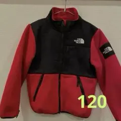 THE NORTH FACE デナリジャケット
