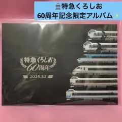 2026年最新】くろしお 特急券の人気アイテム - メルカリ