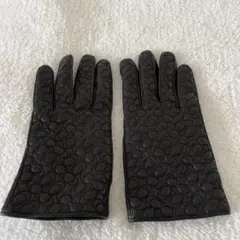 2025年最新】コーチ 手袋の人気アイテム - メルカリ