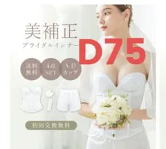ブライダルインナー　Ｄ75　tu-hacci