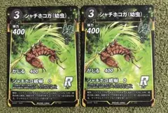 2026年最新】たぬきち商店の人気アイテム - メルカリ