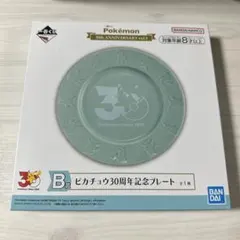一番くじ ポケモン 30周年記念プレート B賞のサムネイル