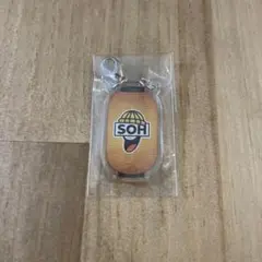 【即購入⭕️】 GRe4N BOYZ LABO ガチャ SOH