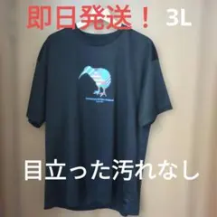 【即送】canterbury フレックスクールコントロールシャツ 3L ラグビーのサムネイル
