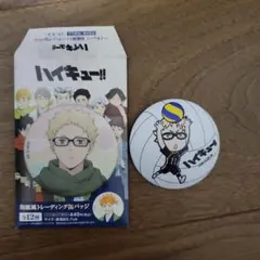 ハイキュー!! 缶バッジ　月島蛍セット